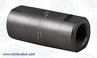 2300 series csc check valve 2349r-4pp