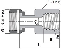 FO Welded Gland to Female NPT Dimensions