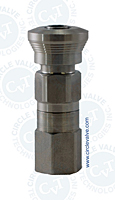 HQC4 Series Hoke instrumentation quick coupling bodies HQC4-B-2F-316
