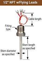 NOSHOK 900 Series Probe Type Industrial RTDs NPT w/Flying Leads