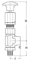 R6000 Series 1/4" Male NPT x 1/4" Fenale NPT