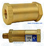 Project Check Valves